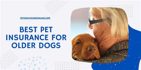 best pet insurance older dogs.insfindrq.com.